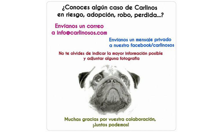 Colabora con nosotros