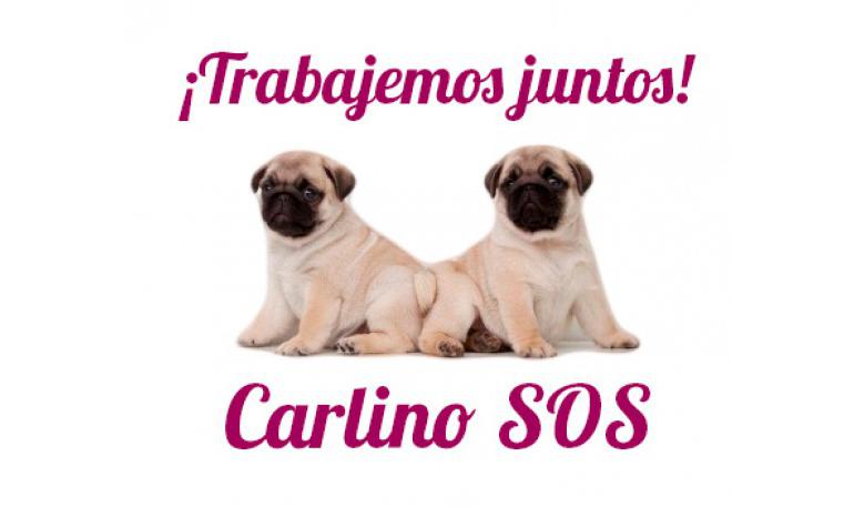 Asociaciones, perreras, etc ¡Utilizadnos!
