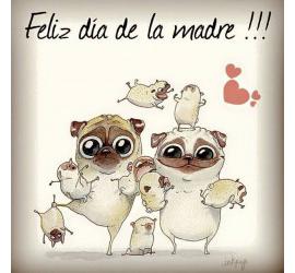 ¡Feliz día de la madre!