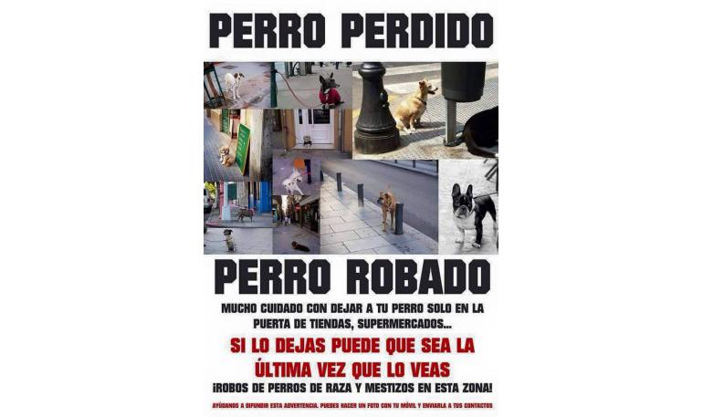 Aumentan los robos de perros de raza y mestizos en España