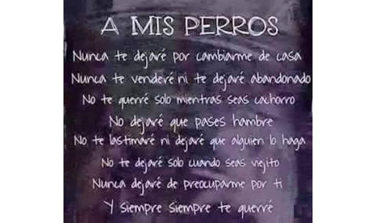 A mis perros...