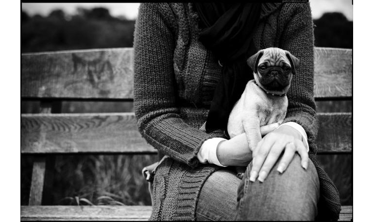 Te has preguntado por qué los perros viven menos que las personas?