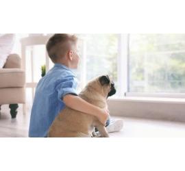 Cómo hacer que tu perro se sienta más cómodo en una casa con niños