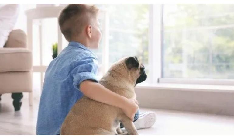 Cómo hacer que tu perro se sienta más cómodo en una casa con niños