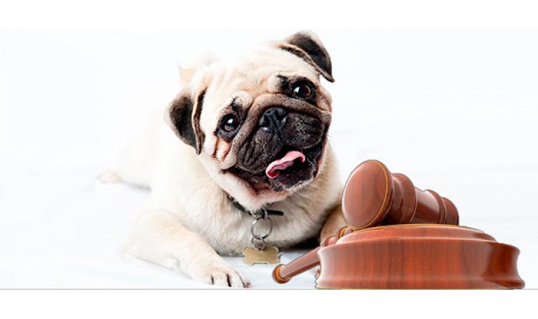 Leyes estatales - España