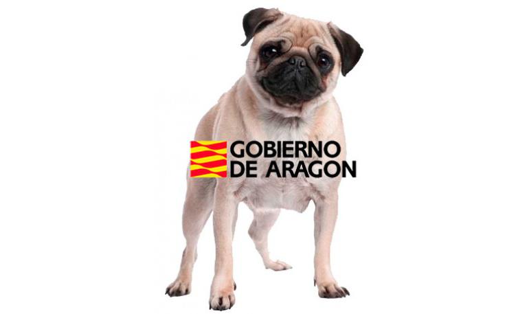 Ley 11/2003, de 19 de marzo, de protección animal en la Comunidad Autónoma de Aragón