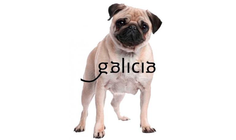 LEY 8/2014 de 26 de septiembre, de reforma de la Ley 1/1993, de 13 de abril, de protección de animales domésticos y salvajes en cautividad de Galicia