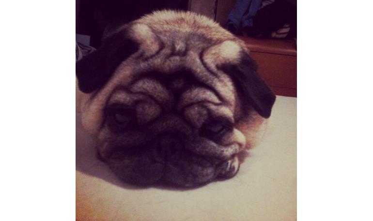 Decálogo de un buen amo