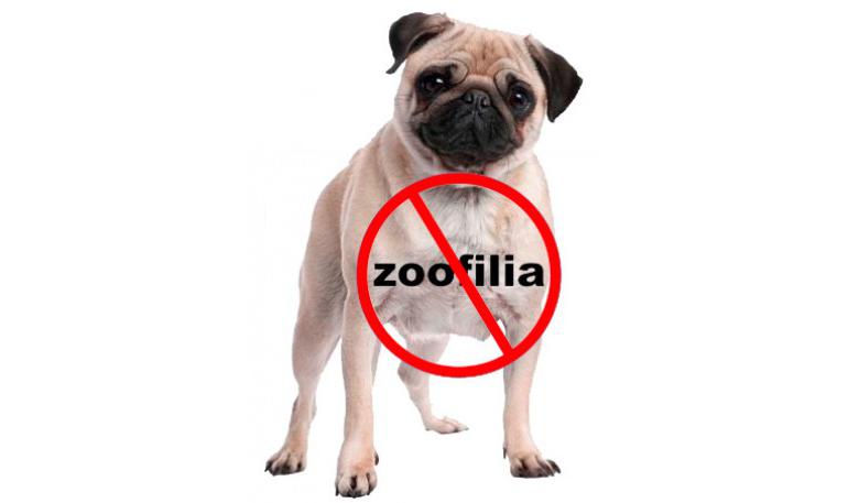 ICV vuelve a preguntar al Gobierno por la zoofilia y su penalización