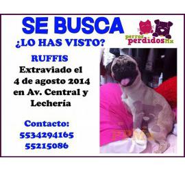 Ruffis