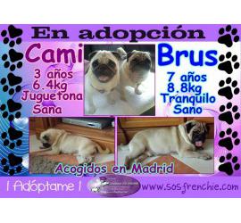 Cami y Brus