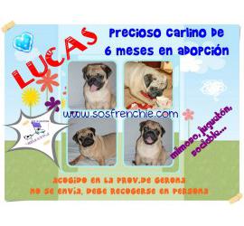 Lucas