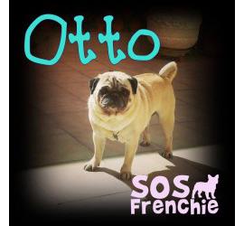 Otto