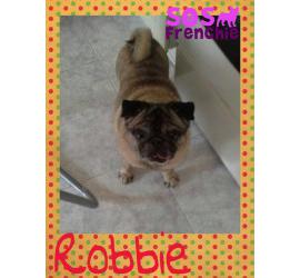 Robbie
