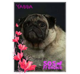 Yabba