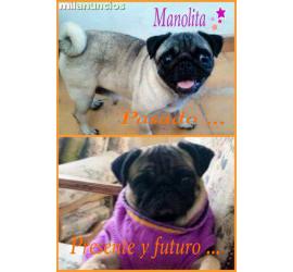 Manolita