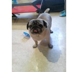 Roky