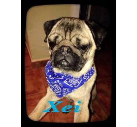Xei