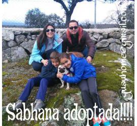 Sabhana