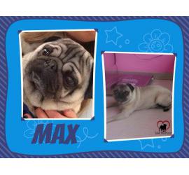 Max