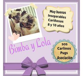 Lola y Bimba