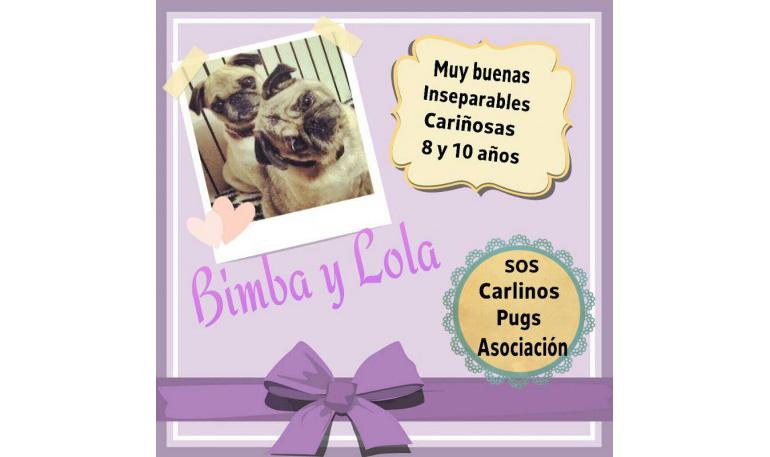 Lola y Bimba 1