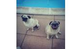 Lola y Bimba 8