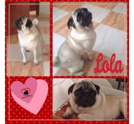 Lola