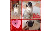 Lola 1