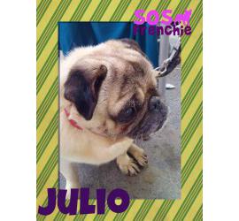 Julio
