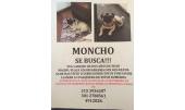 Moncho 2
