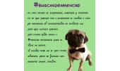 Moncho 7