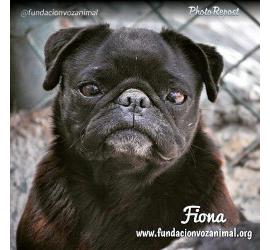 Fiona