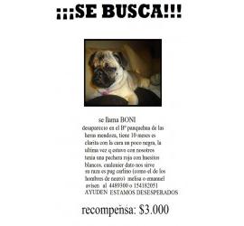 Boni