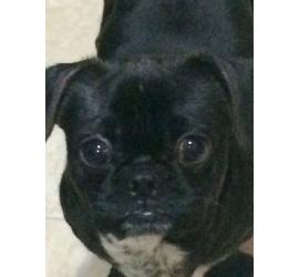 Paco