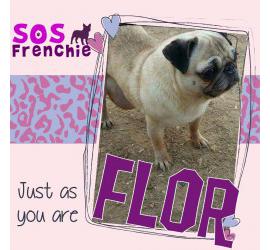 Flor