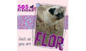 Flor 1