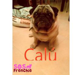 Calú - Kalú