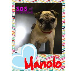 Manolo