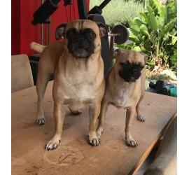 Tobby y Betty