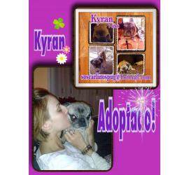 Kyran