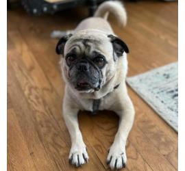 Oliver 0522 Bonded