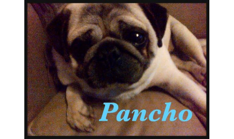 Pancho 3