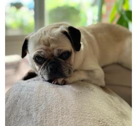Ellie Bellie 0322