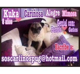 Kuka