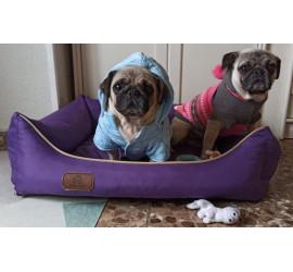Layka y Abby