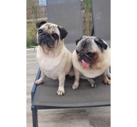 Pepa y Jimena
