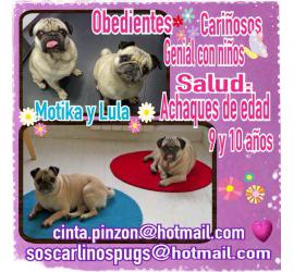 Motika y Lula