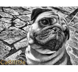 Carlitos