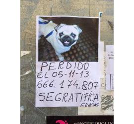 Sin nombre